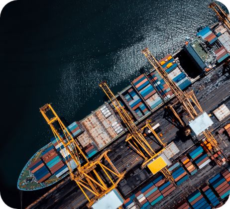 Importación y comercialización