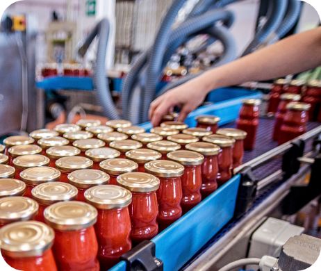 Alimentos y bebidas